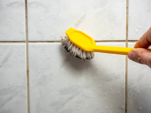 Best Commercial Mold Remediation in Antioch, IL
