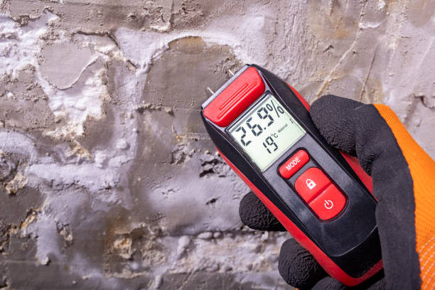 Best Residential Mold Remediation in Antioch, IL